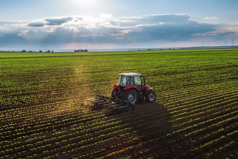 DÍA DE LA AGRICULTURA NACIONAL