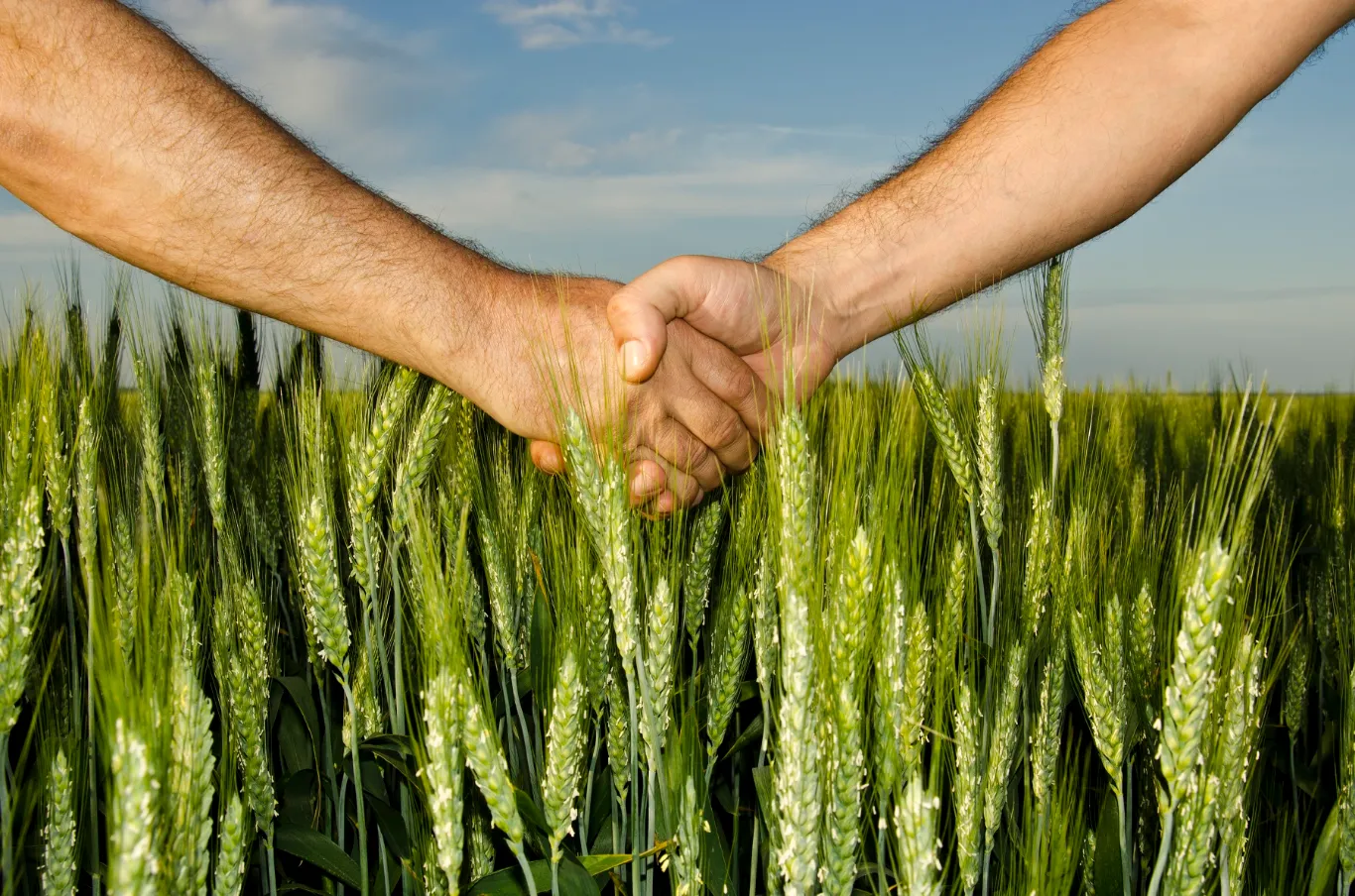 SE RECUPERA EL CRÉDITO AL SECTOR PRIVADO Y EL CAMPO ES PROTAGONISTA CON EL 16% DEL TOTAL