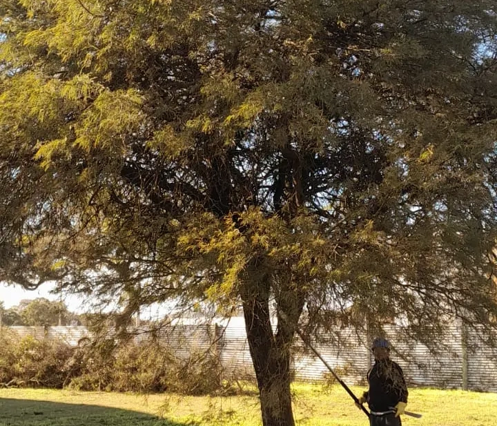 COMENZARON LAS TAREAS DE MANTENIMIENTO Y PODA EN EL PARQUE DE LOS DEPORTES