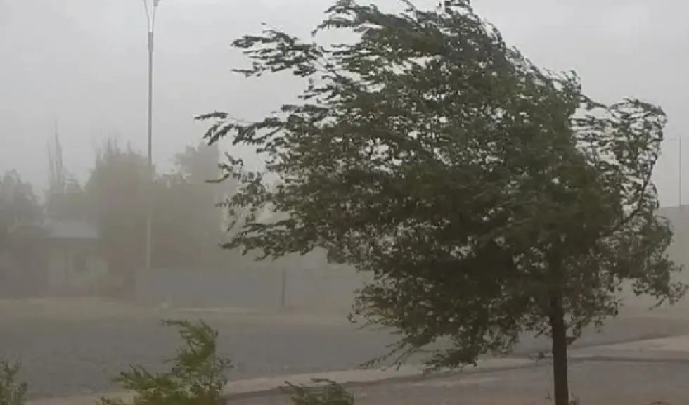 ALERTA POR VIENTO Y BAJA LA TEMPERATURA