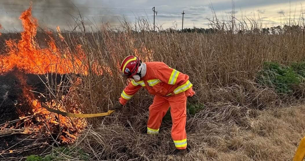 BOMBEROS DE TÍO PUJIO SOFOCARON UN INCENDIO DE PASTIZALES SOBRE RUTA NACIONAL 9
