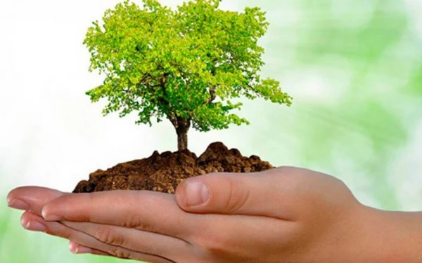 HOY SE CELEBRA EL DÍA DEL ÁRBOL