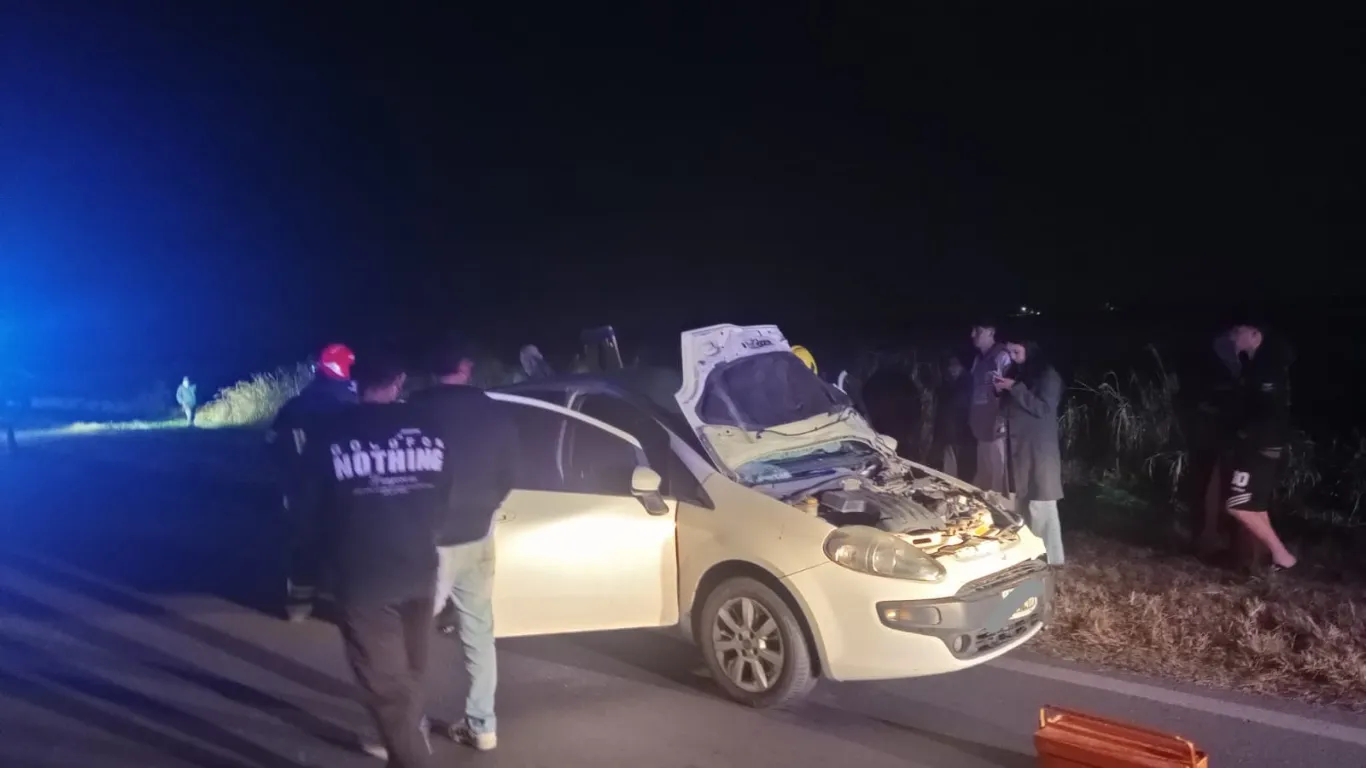 ACCIDENTE EN RUTA NACIONAL 9: CUATRO VECINAS RESULTAN LESIONADOS AL CHOCAR CON UN CABALLO SUELTO